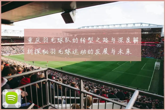 重庆羽毛球队的转型之路与深度解析探秘羽毛球运动的发展与未来