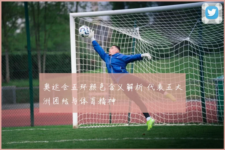 奥运会五环颜色含义解析 代表五大洲团结与体育精神