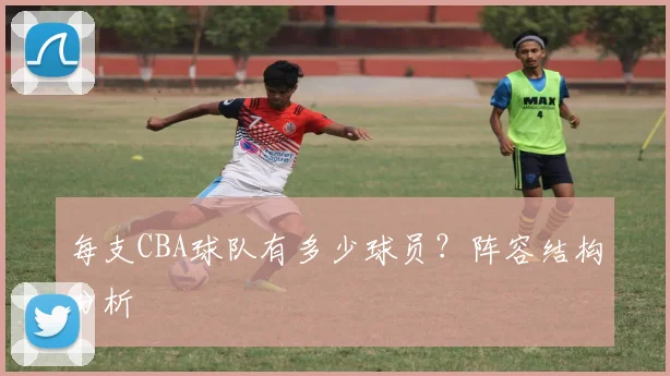 每支CBA球队有多少球员？阵容结构分析